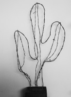 /album/galerie-de-photos-galerie-photos/cactus-jpg1/